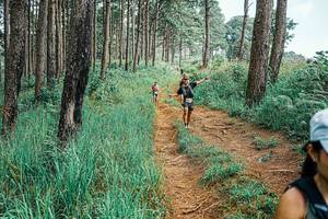 BIB: 
                            <button type="button" onclick="openModal(25655242)" class="btn btn-primary btn-sm float-right btn-popup" data-toggle="modal" data-target=".modal-high-quality">
                        <i class="fas fa-shopping-cart"></i> Add to Cart
                    </button>
                                            <button type="button" onclick="isThisMe(25655242, true)" class="btn btn-success btn-sm float-right btn-popup btn-isme hidden" data-toggle="tooltip" data-placement="bottom" title="นี่คือรูปของคุณใช่ไหม คลิกที่นี่เพื่อเอาเข้าอัลบั้ม">
                        <i class="fas fa-plus"></i> Add to album
                    </button>
                    <button type="button" onclick="isThisMe(25655242, false)" class="btn btn-warning btn-sm float-right btn-popup btn-isnotme hidden">
                        <i class="fas fa-ban"></i> Remove from album
                    </button>